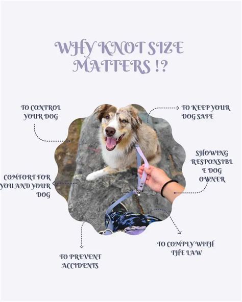 large dog knot|Dog Knot Size Chart: Find Out Now!